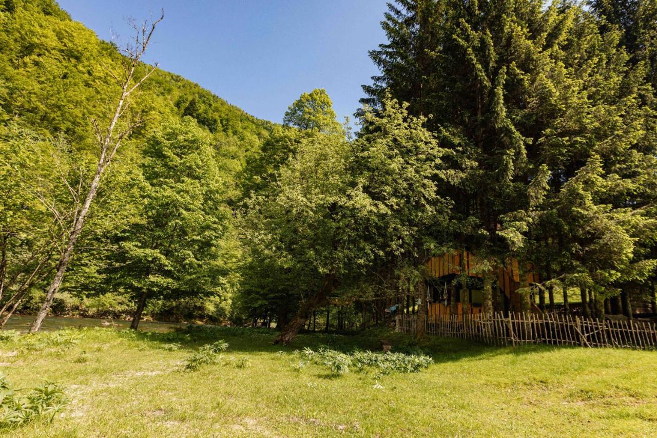 Treehouse Kupari Nacionalni Park Risnjak Cabar Eksteriør bilde
