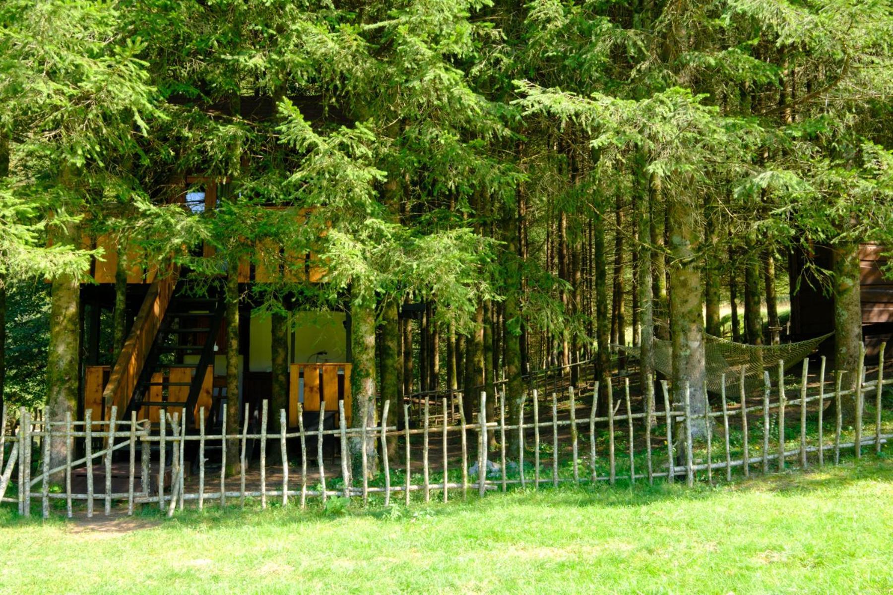 Treehouse Kupari Nacionalni Park Risnjak Cabar Eksteriør bilde